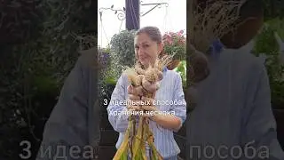 3 способа Хранения чеснока 