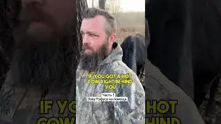 Если вы увидите этот взгляд - вы покойник