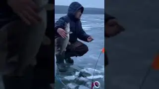 Ловля щуки на жерлицы ! Зимняя рыбалка 2021 !
