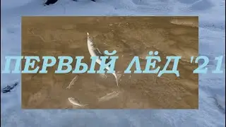 Первая рыбалка 21-го года на микроречке в -32 // ЖОР ельца