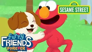 Sesame Street: Meet Tango! | Elmo and Tangos Mysterious Mysteries Preview!