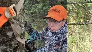 Early Season Deer Bow Hunting