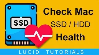Two Ways to Check Mac’s Internal and External SSD Health [2024]