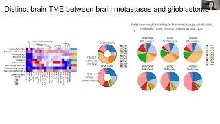 [Sarah Maritan and Miranda Yu] Spatial immune landscapes of primary and metastatic brain tumours