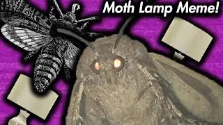 Moth Lamp Meme! | Dank Memes Of September