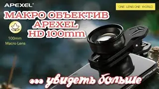 Пример съёмки видео на макро объектив APEXEL HD 100 mm