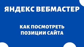 Проверка позиций сайта (посмотреть позиции сайта) Яндекс вебмастер