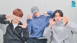 [ENG SUB] TXT LIVE VLIVE (2021.12.30) TXT VLIVE 2021