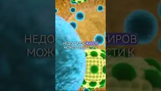 💥ИНТЕРЕСНЫЕ ФАКТЫ О ЕДА, КОТОРЫЕ ВЫ ДОЛЖНЫ ЧАСТЬ 17🔥#шортс #еда #приготовление #shorts