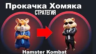 Прокачка Хомяка в крипто игре Hamster Kombat!  | Алгоритм Прокачки [ПОШАГОВО] Как Успеть Заработать