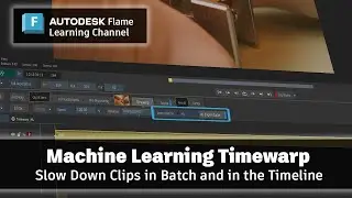 Machine Learning Timewarp - Flame 2025.1