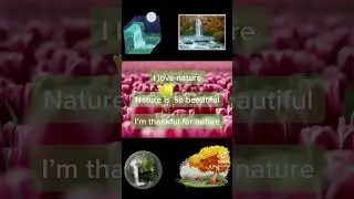 I’m Grateful for nature🐾🌸💐🍁🌱🌲￼