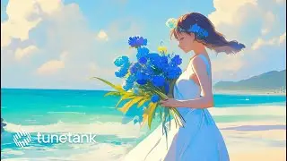 Elegant Lo-Fi Hip-Hop // Royalty Free No Copyright Music