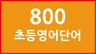 800 초등필수영어단어