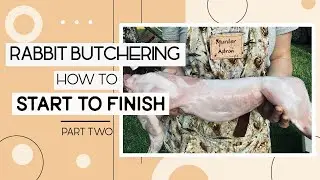 Butchering Meat Rabbits for Beginners pt2: Breaking Down the Rabbit