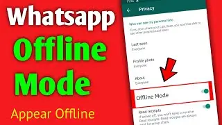 How To Appear Offline On Whatsapp | Whatsapp Offline Mode🔥