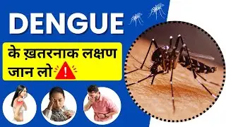 Dengue ke Lakshan Kya Hote Hai? What are the Signs & Symptoms of Dengue?