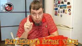 Старт перцового сезона 2024