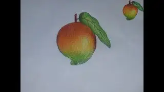 How to draw mango in step by step