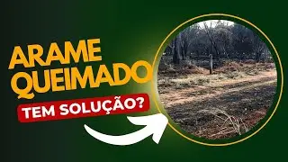 Arame queimado após as queimadas: Recuperar ou descartar?