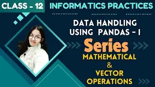 Arithmetic and Vector Operations | Data Handling using Pandas  | Class 12 Informatics Practices(065)