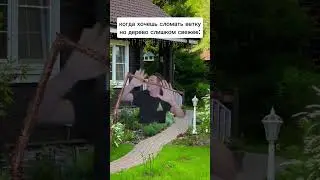 Когда хочешь сломать ветку