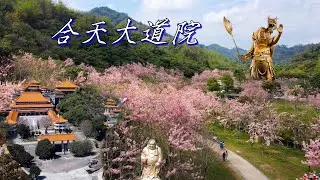 巨大地球上的彌勒佛 旗山 合天大道院 與 蝶舞澗/神奇的廟宇一條街/1200棵花旗木粉花森林/彩色小籠包與三哥臭豆腐/高雄四月看櫻花