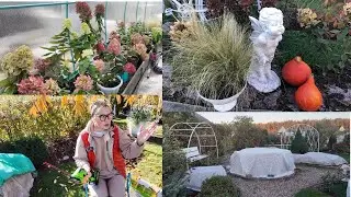 🌹Красота в теплице. ✂️Покупки на новый сезон. 💐Укрываем розы.