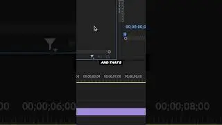 This SETTING Is The SECRET To FASTER KEYFRAMING in PREMIERE PRO