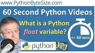 What is a Python float variable?