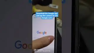 How to use Google Lens to do a visual search. 