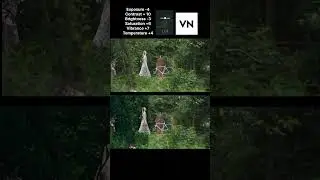 Moody green colour grading vn tutorial 