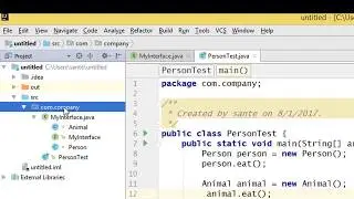 Interface as a return type, local variable, instance variable or as parameter