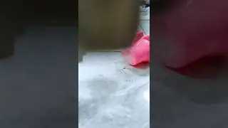 skibidi kid