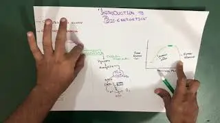 Introduction to Bioenergetics | Part 1 (Biochemistry)