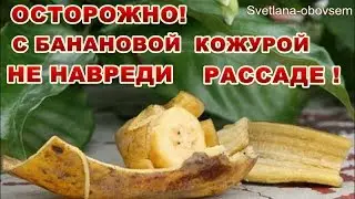 ПОСЛЕ ЭТОГО ВИДЕО,ВЫ НИКОГДА НЕ БУДЕТЕ ВЫБРАСЫВАТЬ БАНАНОВУЮ КОЖУРУ. ПРАВИЛА ИСПОЛЬЗОВАНИЯ КОЖУРЫ