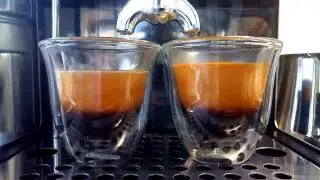 double shot Molinari Oro Espresso with Gaggia Classic and pressurized portafilter