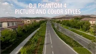 Phantom 4 - Picture Styles and Color