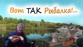 Утятник! не 