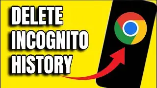 HOW TO DELETE INCOGNITO HISTORY ON ANDROID! (SO EASY)