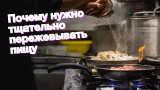 Почему нужно тщательно пережевывать пищу