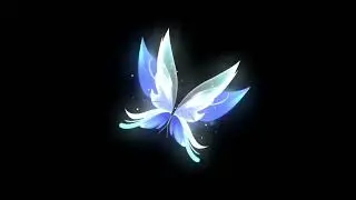 Neon blue butterfly black screen effect video, No copyright - free video, NP Creative