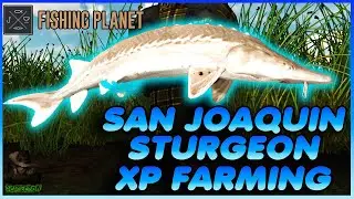 Money Making And XP Farming Sturgeon At San Joaquin Delta! Fishing Planet