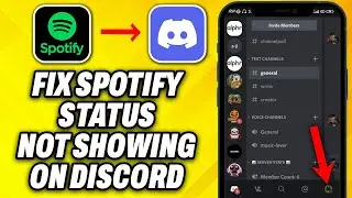 How To Fix Spotify Status Not Showing on Discord (2024)