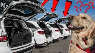 Which SUV is Best For Dog Owners? (MB)