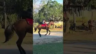 Horseback riding. Cuban cowboys along the road