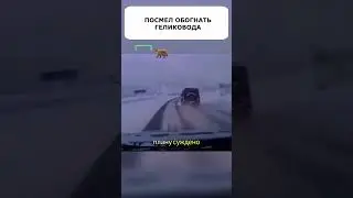 Посмел ОБОГНАТЬ ГЕЛИК и ВОТ ЧТО вышло😱