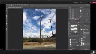 How to isolate a Comm using the Polygonal Lasso Tool- Photoshop