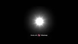 Shines