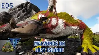 Maewing Taming on Lost Island! E05 Lost Island - New Ark DLC - New Map - Ark Survival Evolved